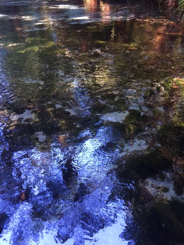 New Zealand, North Island, Wellington, water, river