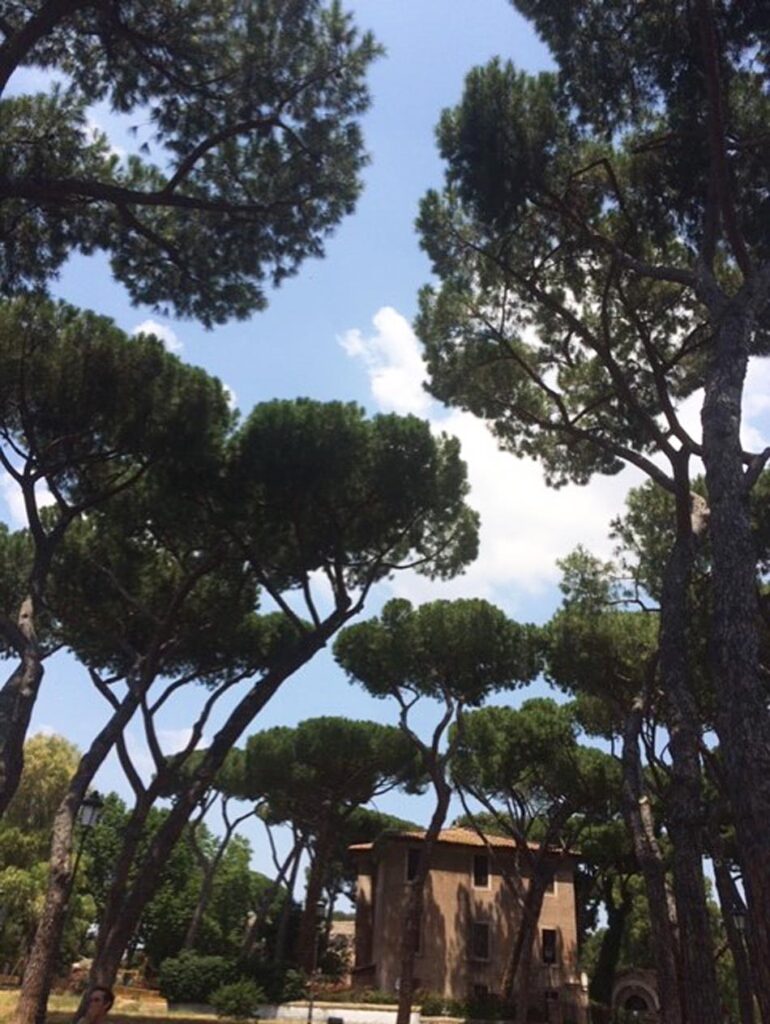 A building surrounded by tall trees under a partly cloudy sky in a serene natural setting.