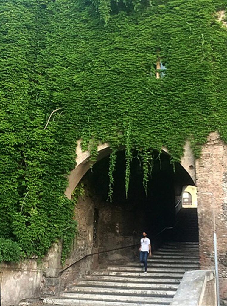 A huge wall of ivy covers a stone archway wall as a slender man walks down a long flight of steps and passes underneath.