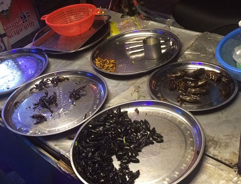 Trays of prepared insects, including beetles and crickets, displayed on a metal surface at a market.