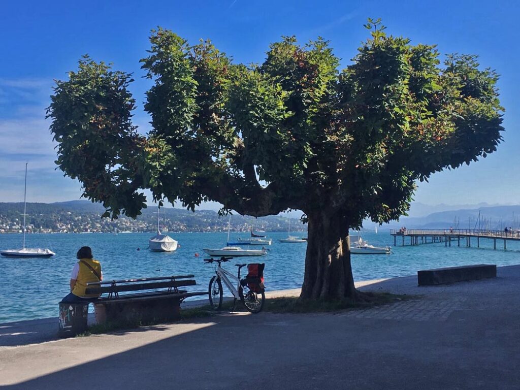 View of scenic Lake Zurich with a woman in a yellow vest sitting on a park bench under a stocky green tree outside the Rote Fabrik Art Centre in Zurich, Switzerland.