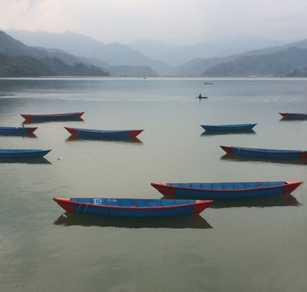 A fleet of blue canoes with red tips all pointing in the same direction on Phewa Lake in Pokhara, Nepal.