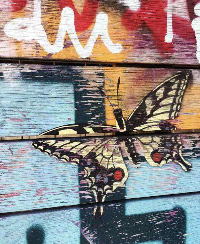 Close-up photo taken in Zürich of some stenciled graffiti on colorful wood-plank siding that features a Monarch butterfly and scribbled words at the top.