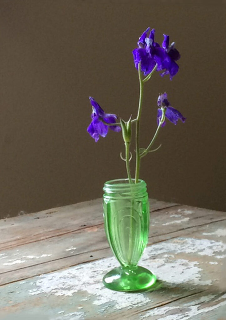 Color photo by Grace McEvoy of a fresh sprig of Loco Weed with blue-violet flowers in a clear green vase on a rustic wood table.