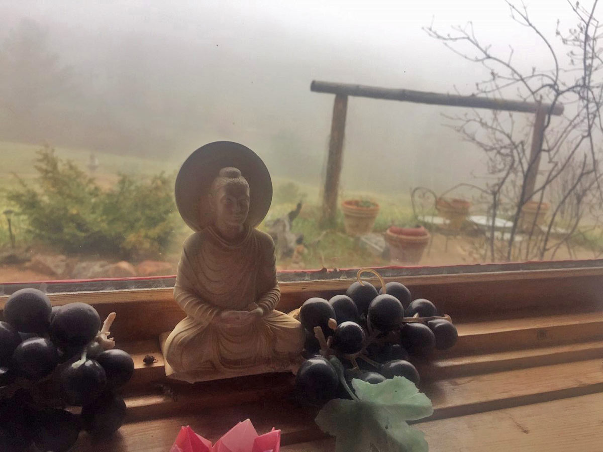 Small Buddha statue on windowsill with artificial grapes and misty outdoor garden background.