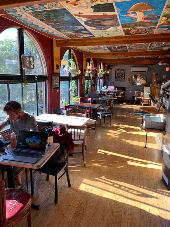 Interior view of the front room of THE ALLEY CAT CAFE in Fort Collins, CO.