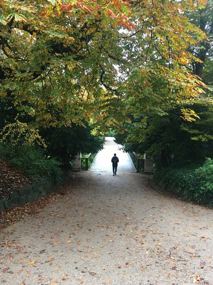 A man walks down a park pathway in Autumn in Copenhagen.