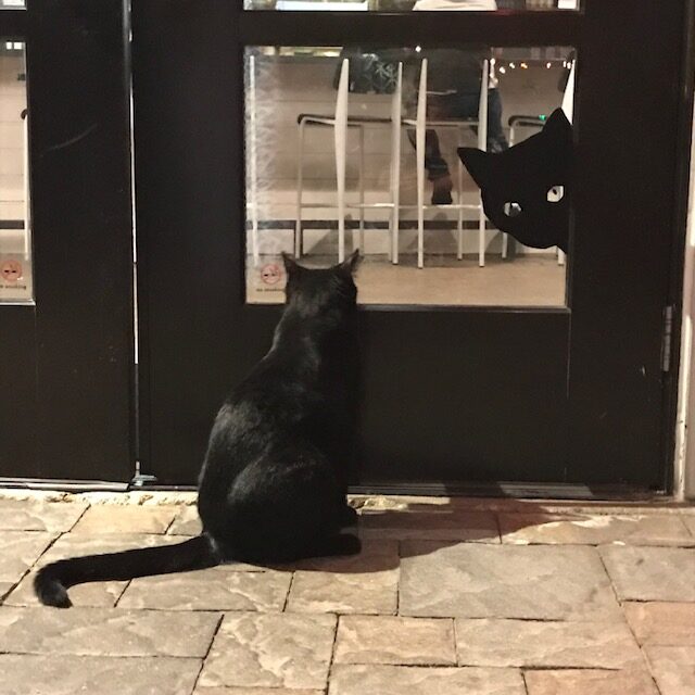 Black cat sits on a tile floor in front of a black screen door and stares at the black silouette of a cat's head that is cut into the lower part of the door frame.