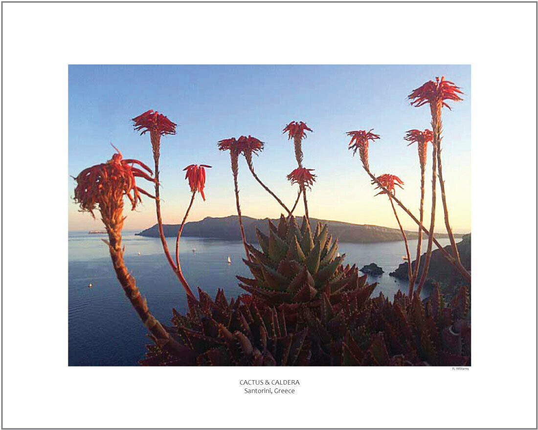 CACTUS & CALDERA
