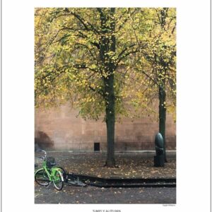 SIMPLY AUTUMN
