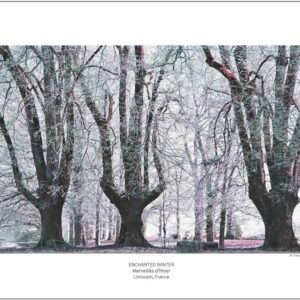 ENCHANTED WINTER