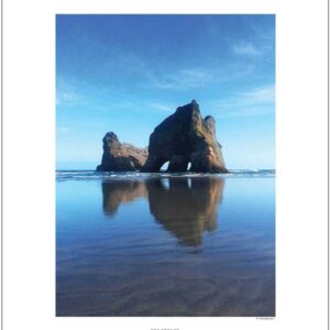 SEA STONES