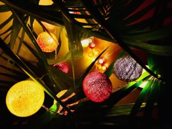 Festive holiday bobbles on a houseplant in Lyon, France.