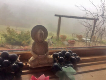 As mist gathers outside, a small Buddha sculpture sits peascefully on a window ledge inside the Visitors Center for The Great Stupa of Dharmakaya in northern Colorado.